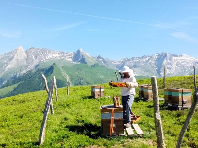 Vue montagne Béost-Laruns - B&B Béost
