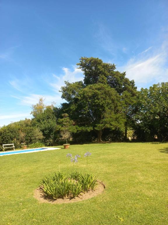 Casa Quinta Estilo Campo - B&B Lobos