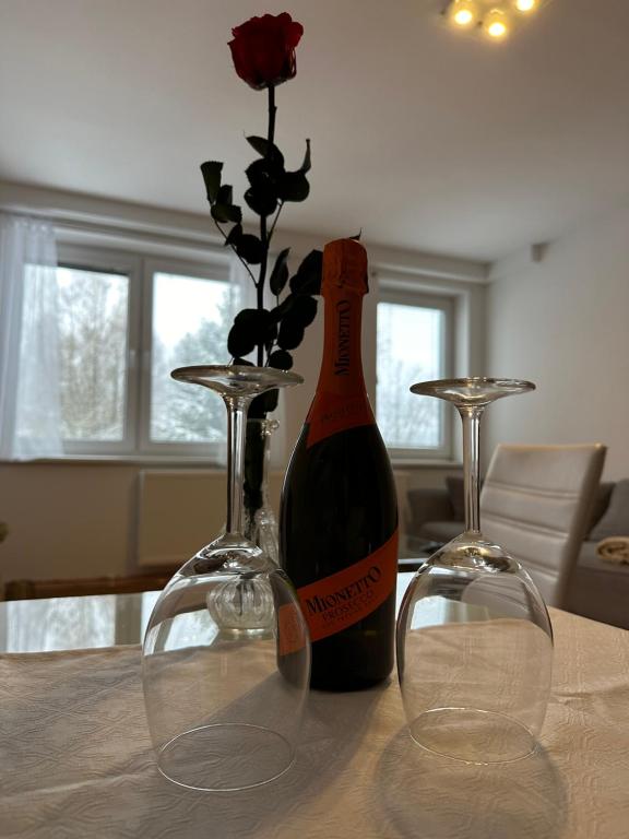 Apartmány Tereza - Chambres d'hôtes Lipno nad Vltavou