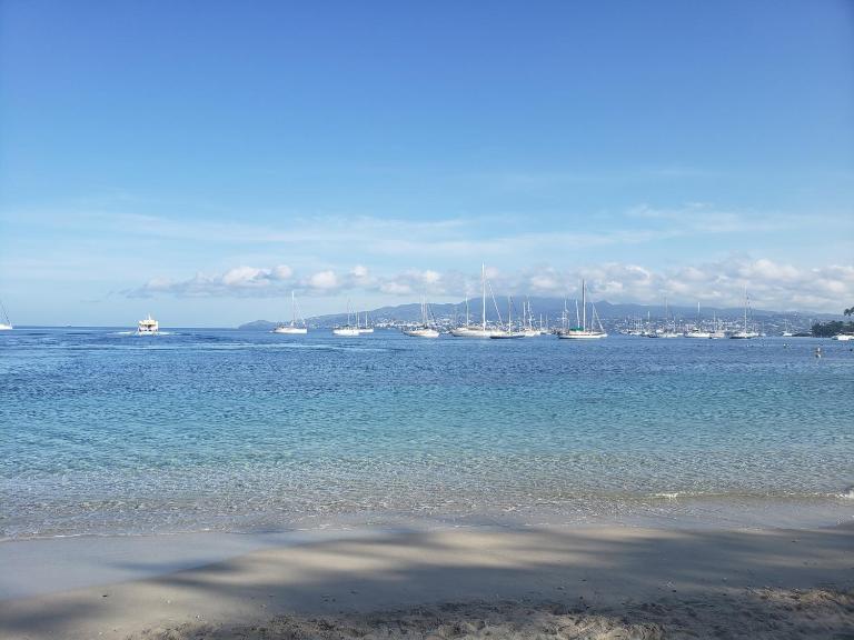 Grand studio Les pieds dans l'eau aux 3 îlets - B&B Les Trois-Îlets