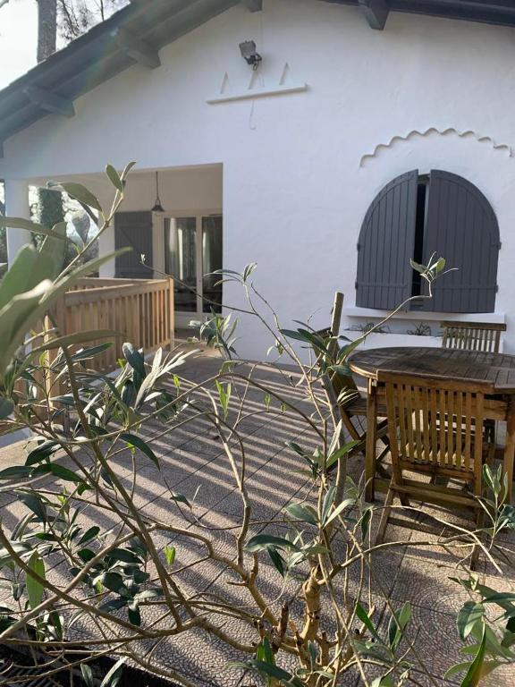 LA PHOCEENNE - B&B La Teste-de-Buch