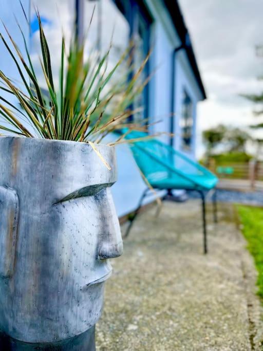 Bungalow, mountain and sea views parking - B&B Aberdyfi