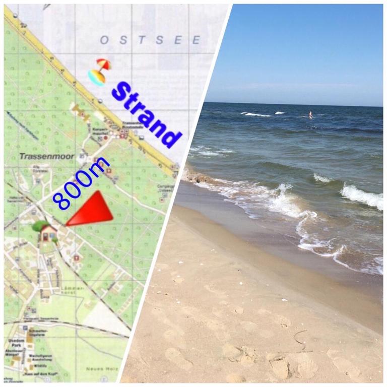 Ferienwohnung mit Terrasse - Insel Usedom - B&B Trassenheide