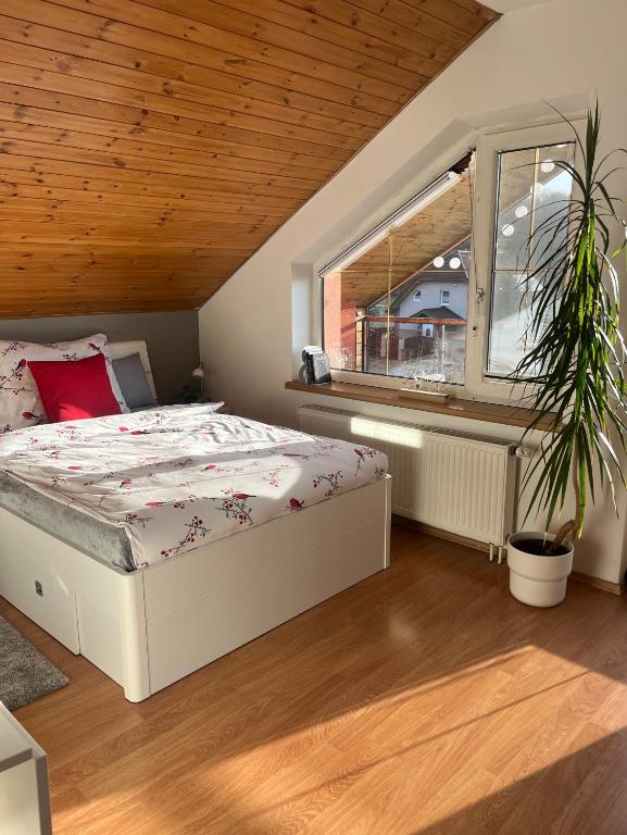 Podkrovní apartmán s balkónem - B&B Ostrava