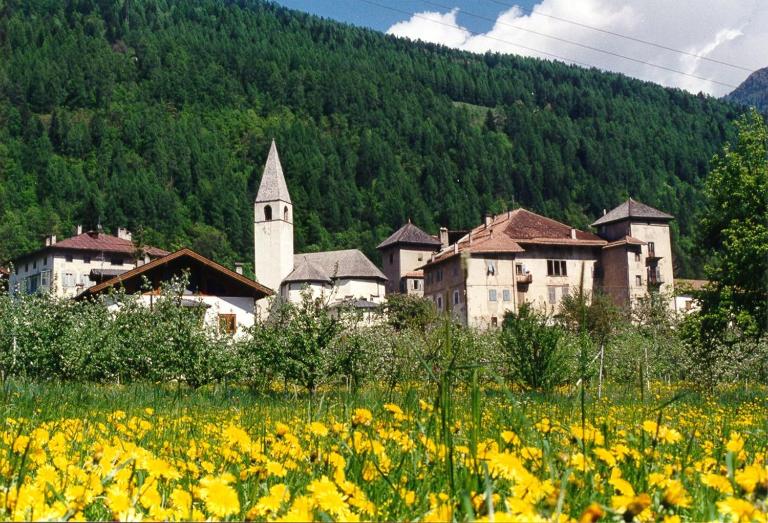 Incantevole appartamento in un Castello storico - Chambres d'hôtes Croviana