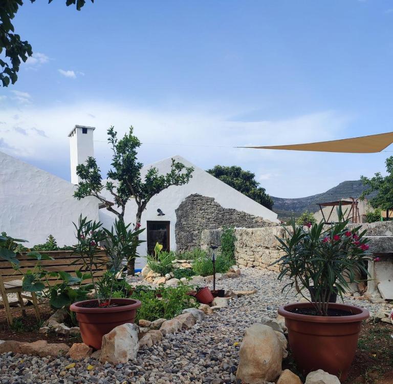 Vivenda Montanha - Relax in Nature - Chambres d'hôtes Alcaria