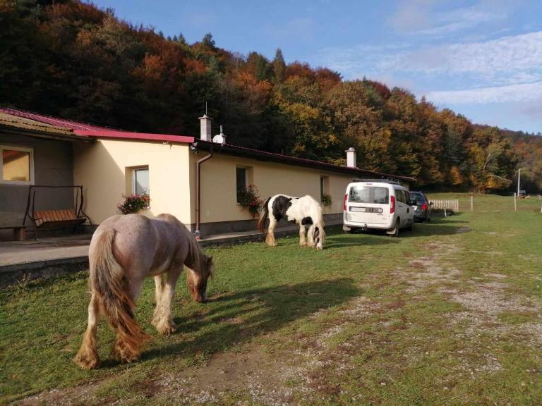 Oddychový pobyt na rodinnej farme - B&B Matiaška