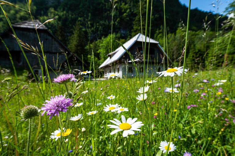 Traditional homestead Guhar in Radovna - B&B Mojstrana
