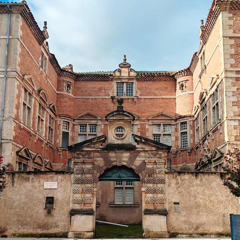 Appartement Bulle d'antan en cœur de ville - Monument classé historique - Grand Jaccuzi - B&B Castres