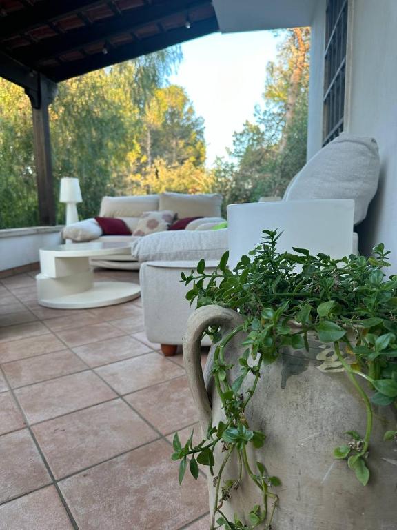Villa Zoë - Ferienwohnung Torre dell'Orso