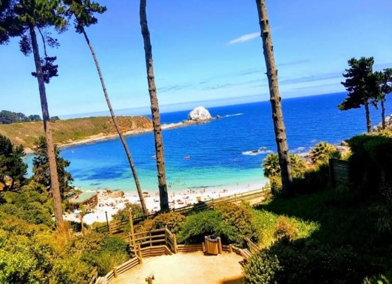 Pinares del Canelillo, Algarrobo, Chile - B&B Algarrobo