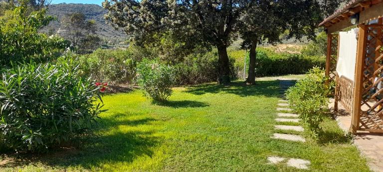 Appartamenti La Rosa dei Venti - B&B Lacona