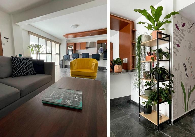 Great apartment in the heart of Coyoacan - Chambres d'hôtes Mexico