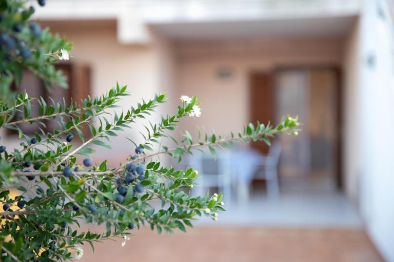 Rosy House - Chambres d'hôtes Marina di Ragusa