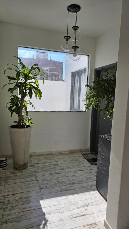 RaGi dpto 4 - B&B Córdoba