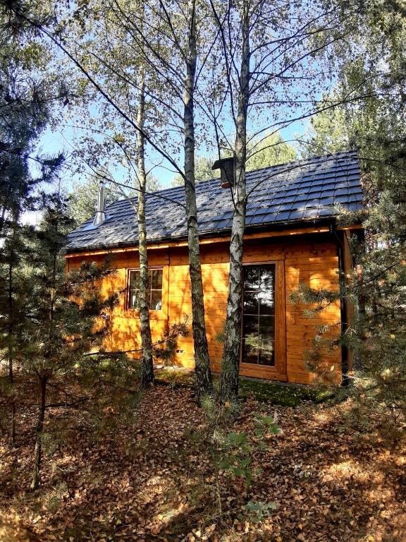 Ajurweda na Jurze Agroturystyka - Ferienwohnung Choroń