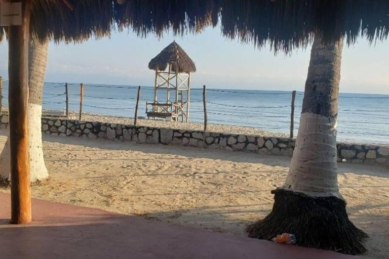 Tranquilidad cerca de la playa - B&B Bucerías