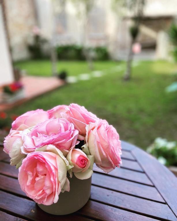 Victoria House B&B - B&B Pisa