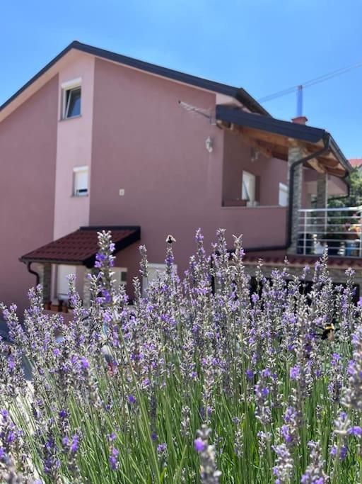 Apartment Mehanovic - Bed and Breakfast Rijeka