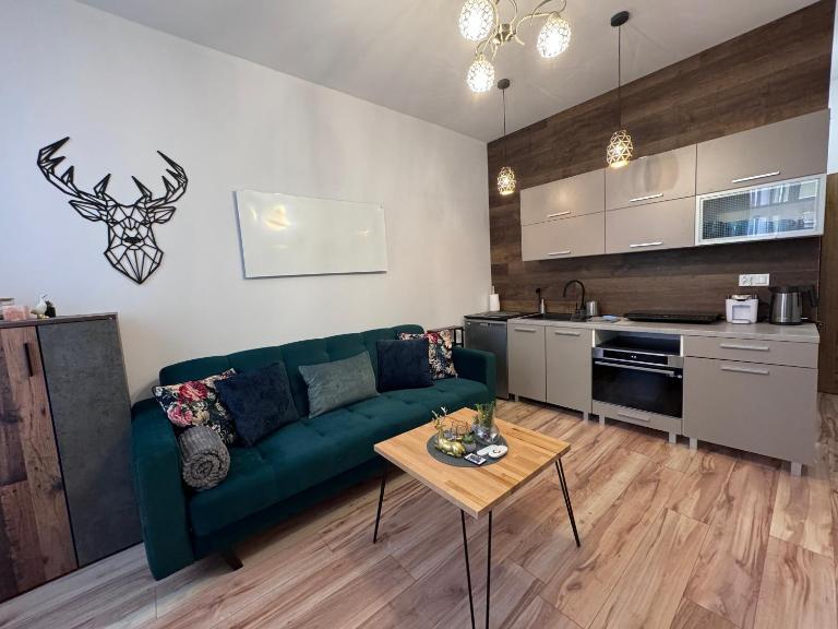 Apartament w centrum Jeleniej Góry przy ulicy Długiej - B&B Jelenia Góra