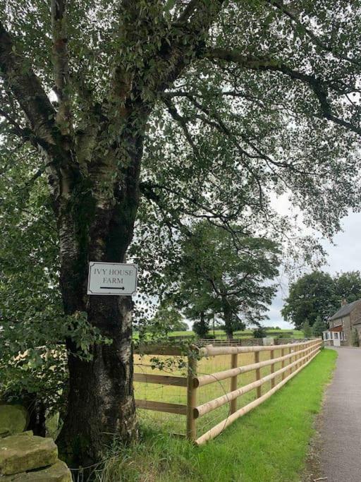 Ivy House - B&B Longnor