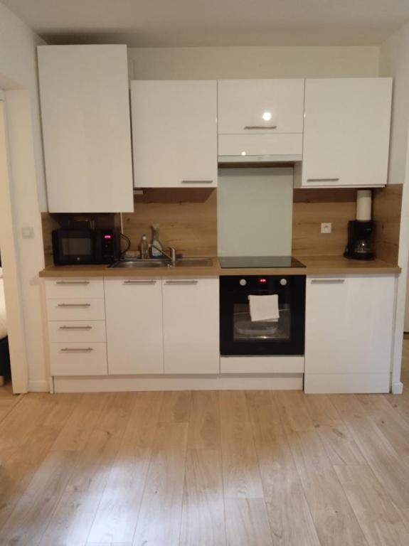 Jolie T2 - très grande terrasse - Ferienwohnung Thonon-les-Bains