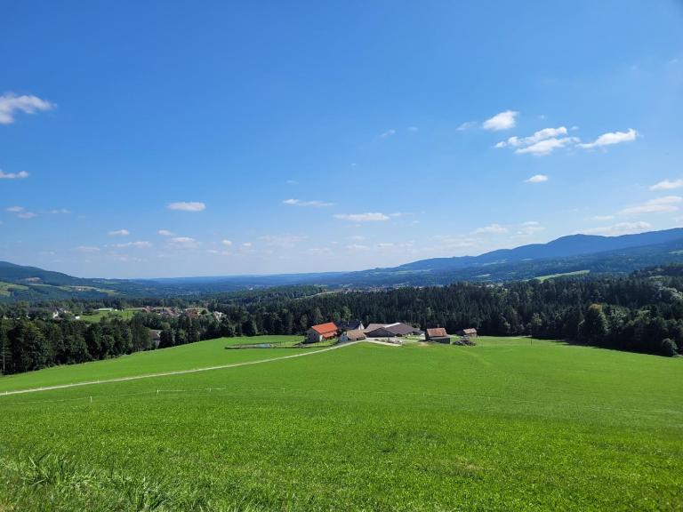 Pircherhof - Adults Only am Biobauernhof - B&B Pöllau