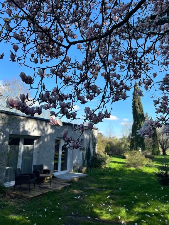 La maison du jardin - B&B Douai