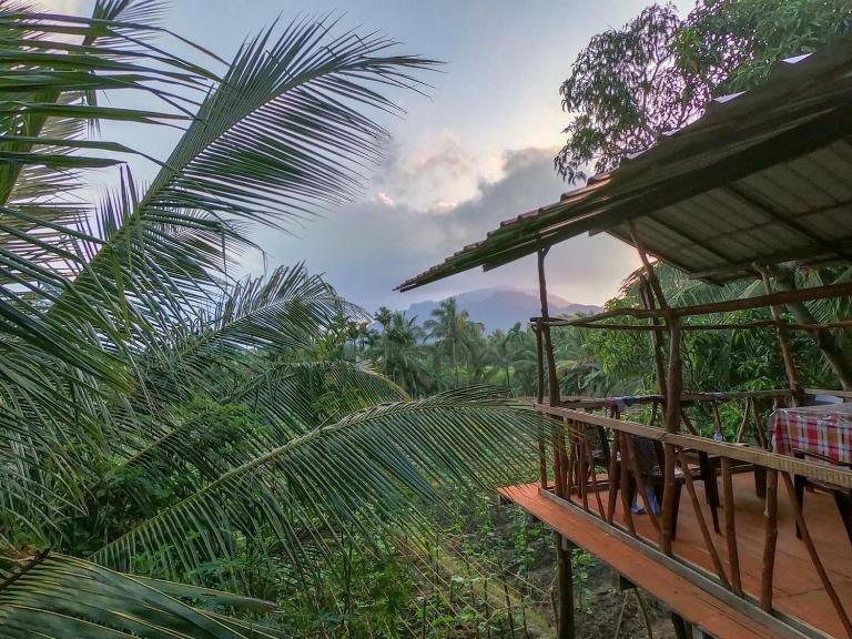 Blue Mountains View - B&B Dambulla