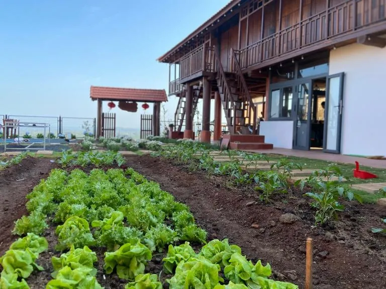 Homestay Lưng Đồi - B&B Buôn Dhă Prŏng