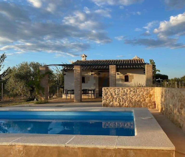 Casita rural entre olivos - B&B Biar