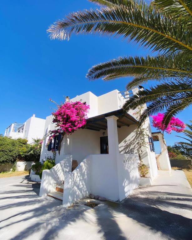 Nereid Skyros House - B&B Skýros