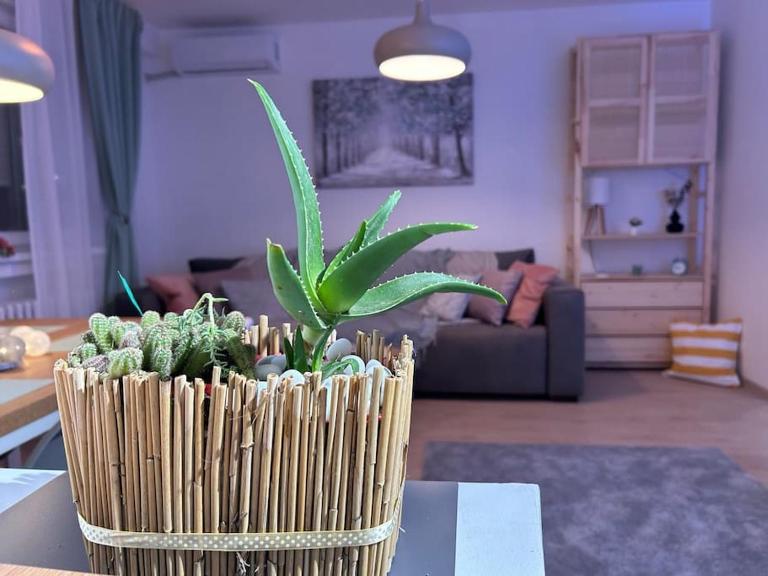 Apartment Fiore - Bed and Breakfast Smederevo