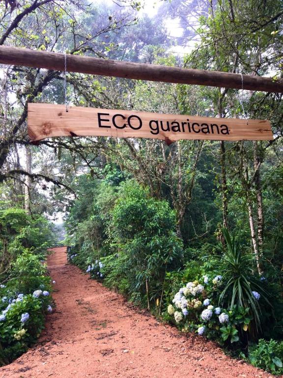 Bosque Contêiner Eco Guaricana - Bed and Breakfast São José dos Pinhais
