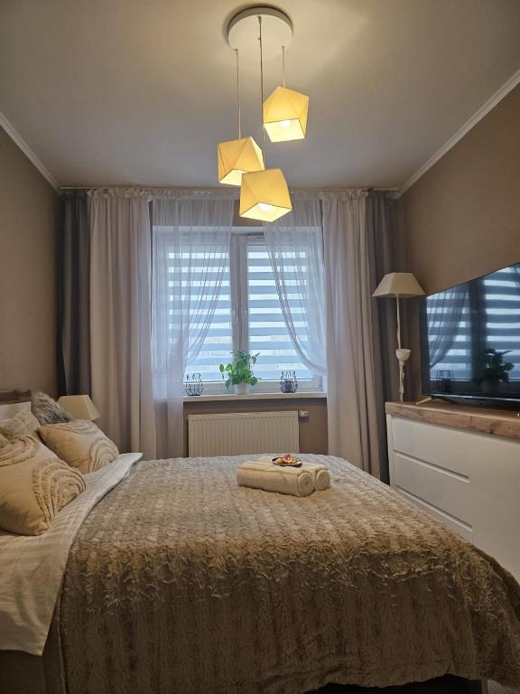 Przytulne mieszkanie in Zyrardow Free Parking - B&B Żyrardów