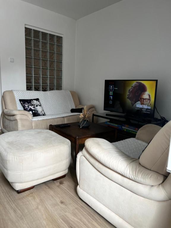 Útulný apartmán v historickém centru města Písek - B&B Písek