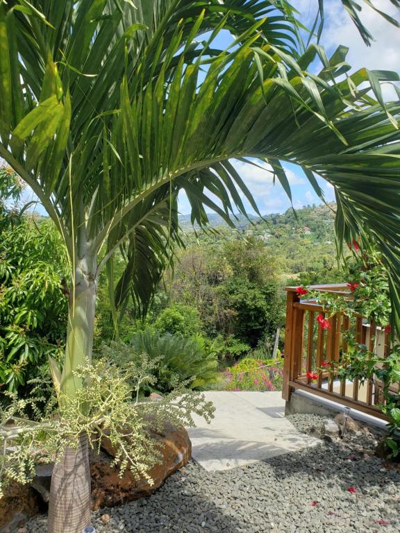 Memwa Villas - Chambres d'hôtes Castries