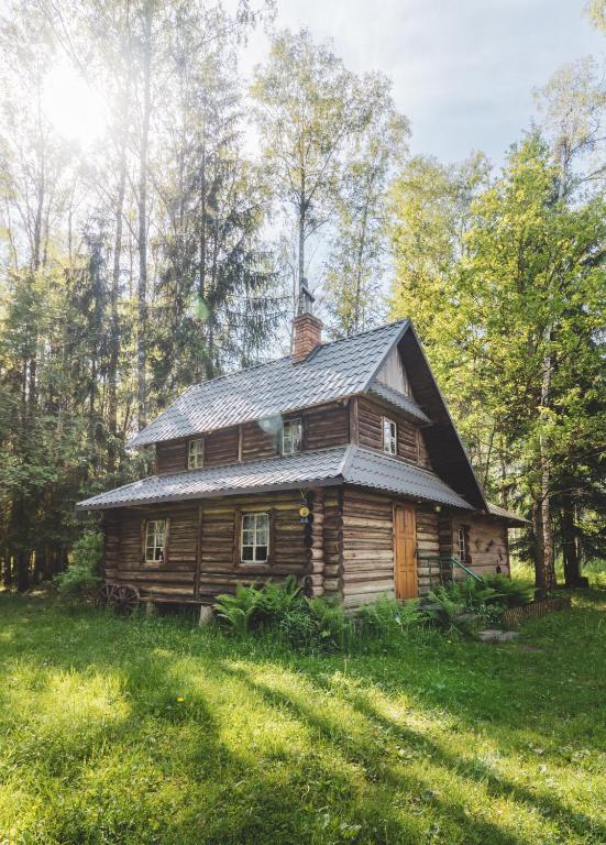 Chatka w lesie - B&B Teremicki