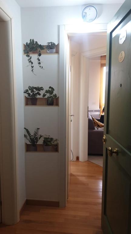 HOUSE MAGIE 2 e 3 - B&B Marco Simone