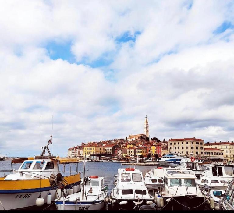 Martin Apartments 2 - Chambres d'hôtes Rovinj