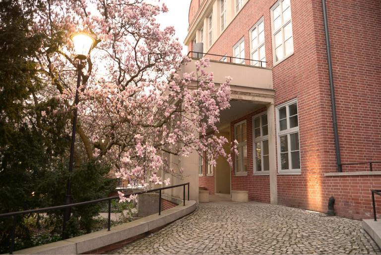 Rooms in Historic Heart of Wroclaw - B&B Breslavia