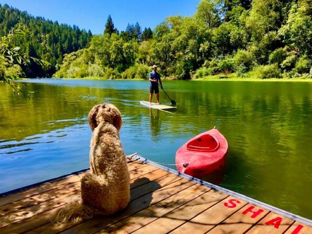 Boathouse - Bed and Breakfast Guerneville