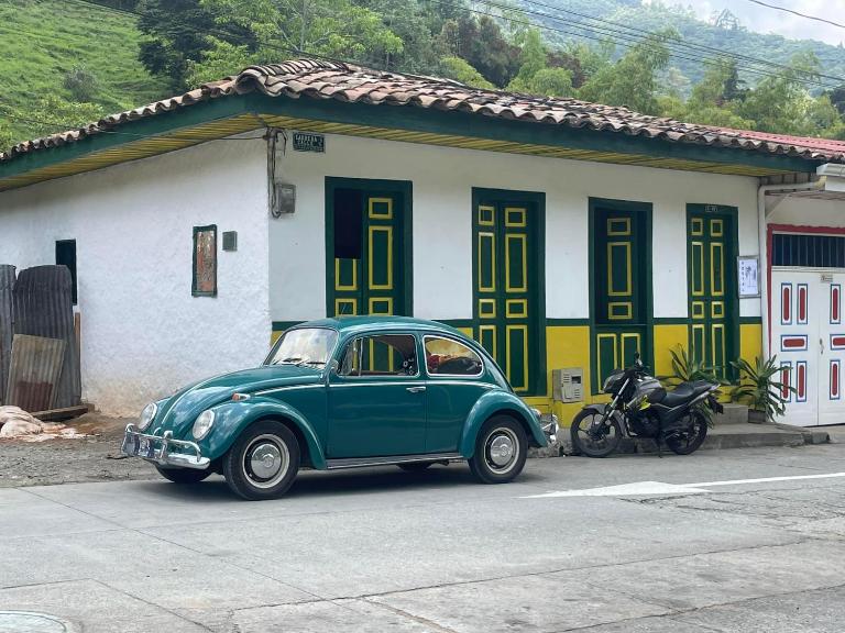 BOSQUE DE NIEBLA - B&B Pijao