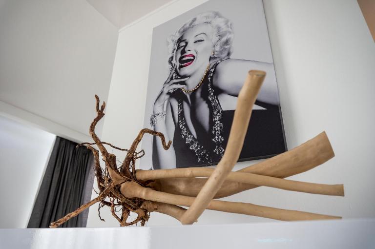 The Queen Luxury Apartments - Villa Marilyn - Bed and Breakfast Luxemburg