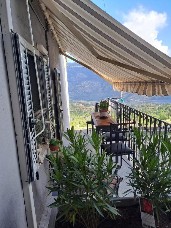 Location en Corse au pied du Monte Cintu - Chambres d'hôtes Lozzi