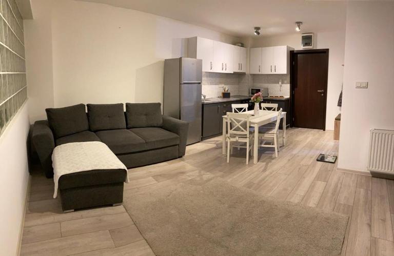 Yvett Studio 2 - Chambres d'hôtes Sfantu Gheorghe