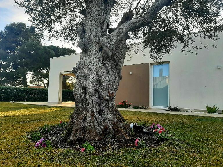 Il Giardino dei Coralli - Chambres d'hôtes Plemmirio