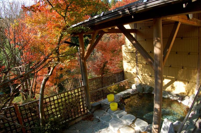 Sawatari Onsen Miyataya Ryokan - B&B Nakanojō