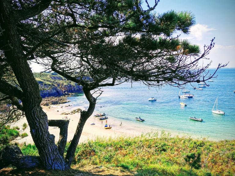 Appartement indépendant à 500 mètres de la mer - B&B Saint-Gildas-de-Rhuys