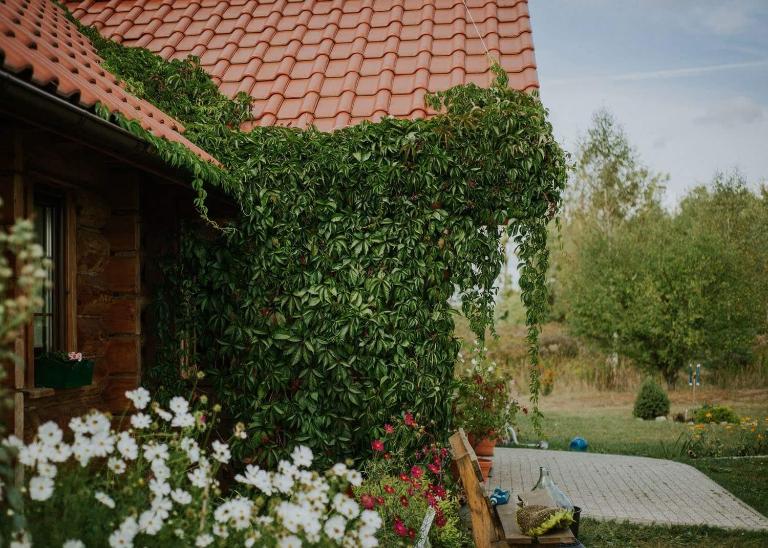 Dom Gościnny Sowia Stópka - B&B Miłomłyn